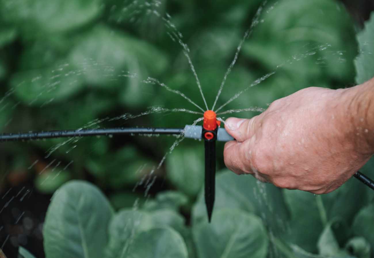 Enhance Your Garden with an Effective Irrigation System