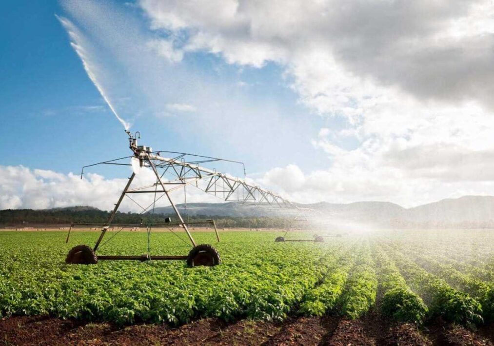 irrigation system serviced by Skyline Pump Machine & Co. at Chehalis