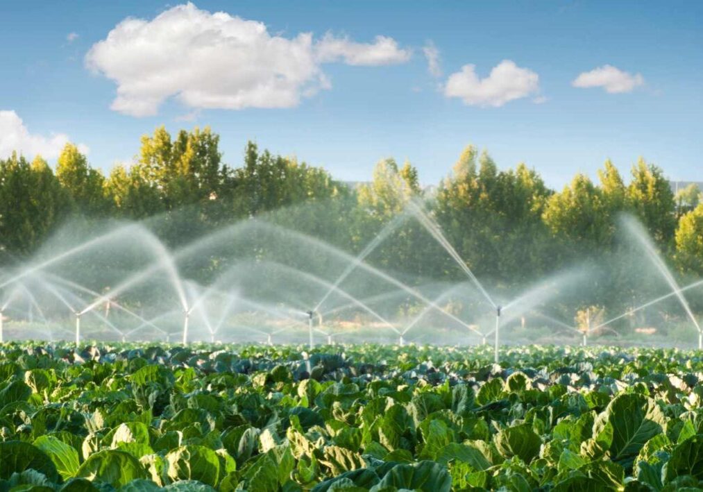 smart irrigation
